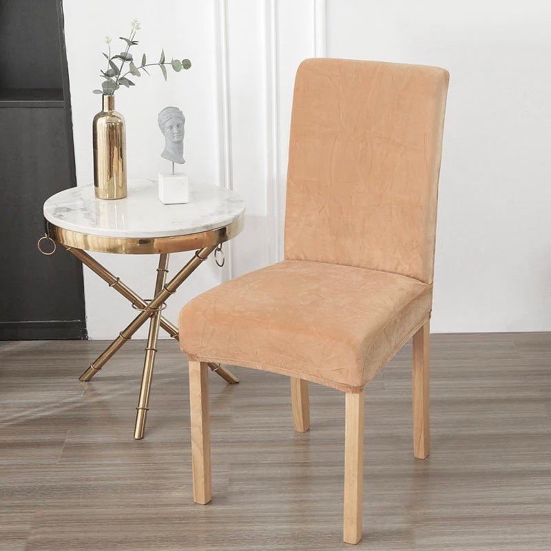 Baršunaste navlake za stolice 6komada u pakiranju B7 bež s notom narančaste